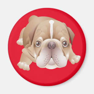 Chien de race Bouledogue Anglais Rouge Magnet