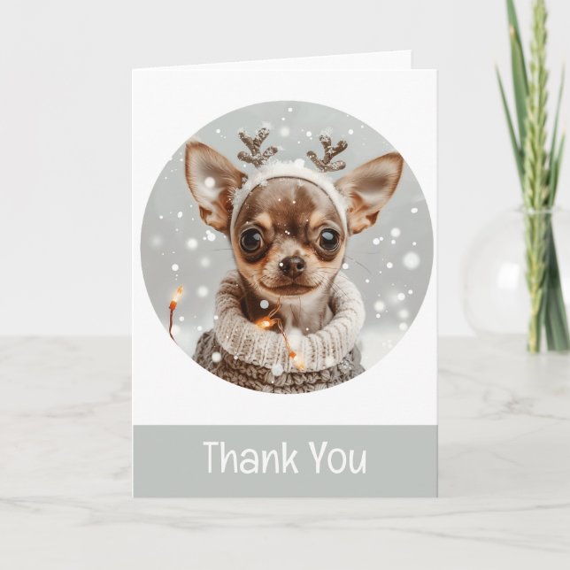 Chien de rennes de Chihuahua Merci Noël (Devant)
