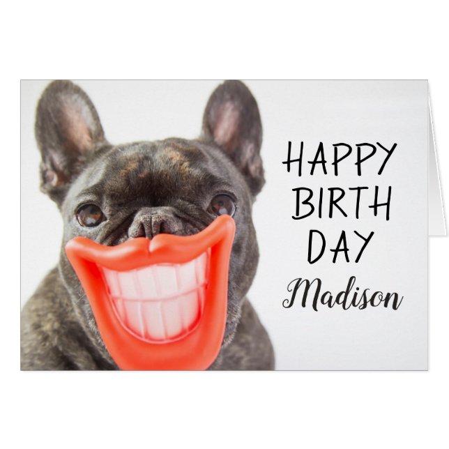 Chien de sourire des images | A de Getty (Devant horizontal)