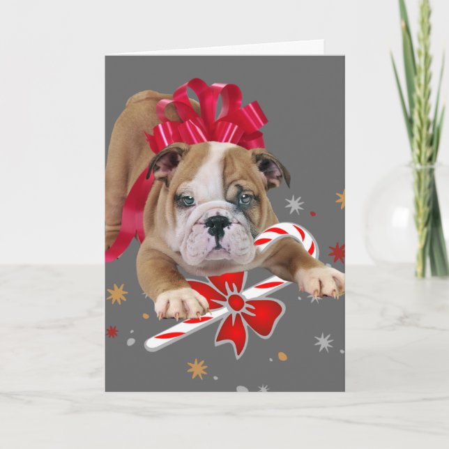 Chien de taureau avec carte de Noël à arc rouge (Devant)