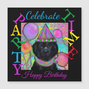 Chien de Terre-Neuve