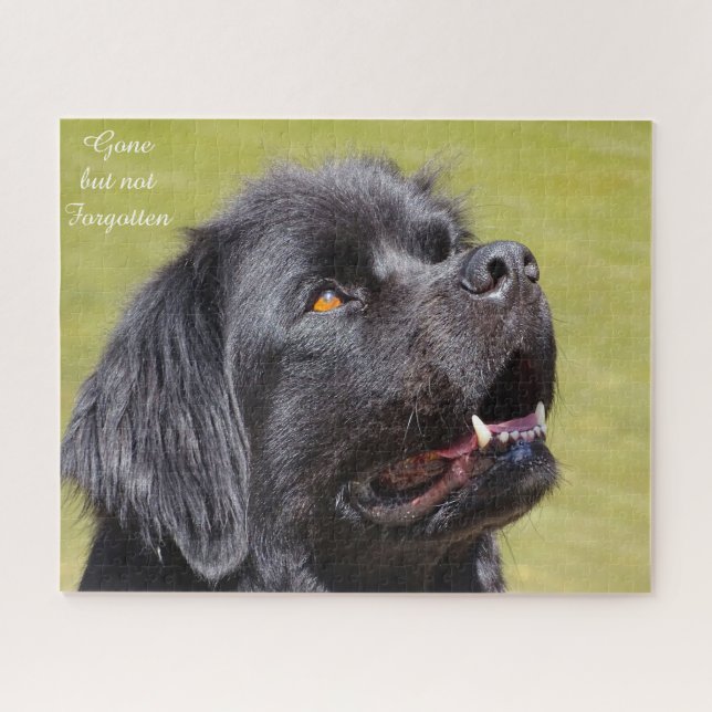 Chien de Terre-Neuve. Puzzle (Horizontal)