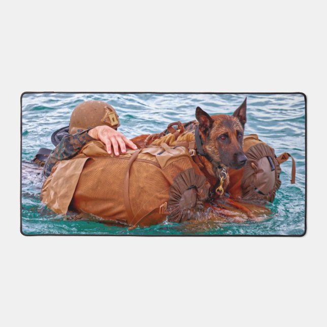 CHIEN DE TRAVAIL MILITAIRE AMÉRICAIN (Recto)