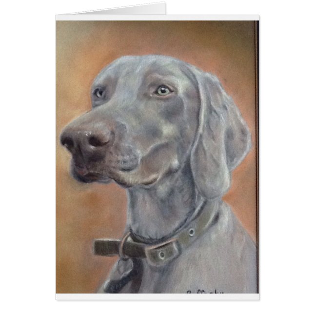 Chien de Weimaraner (Devant)