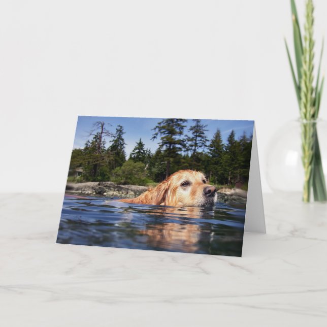 Chien d'eau - cartes (Devant)