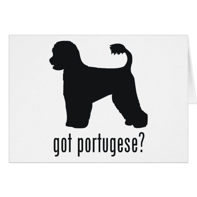 Chien d'eau portugais (Devant horizontal)