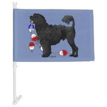 Chien d'eau portugais de lion noir avec le repère