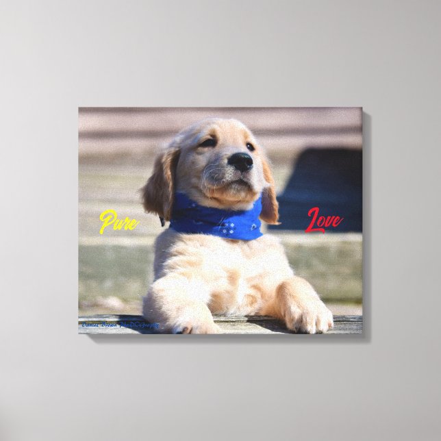 Chien d'or avec Bandana - Impression en toile (Recto)
