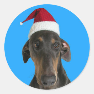 Chien drôle dans des autocollants de Noël de