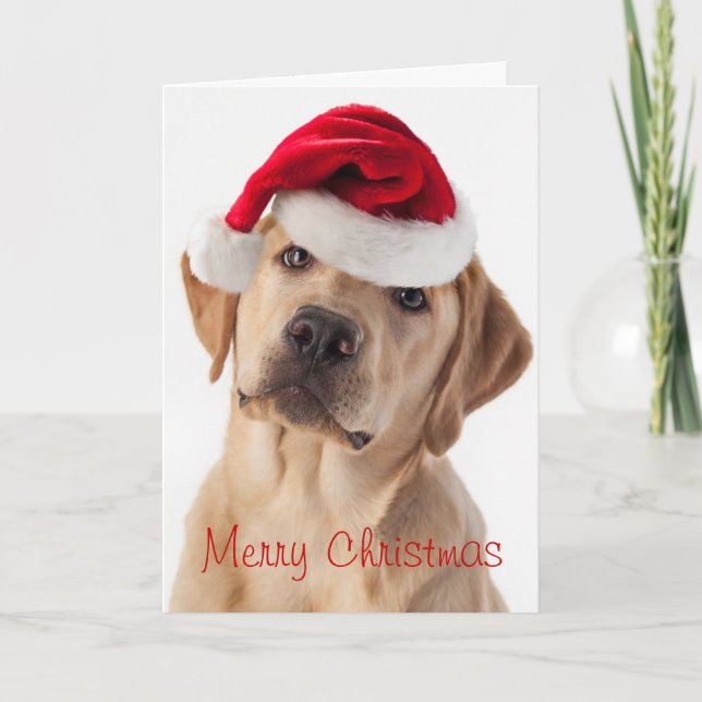 Chien du joli Yellow Lab avec carte de Noël du San (Devant)
