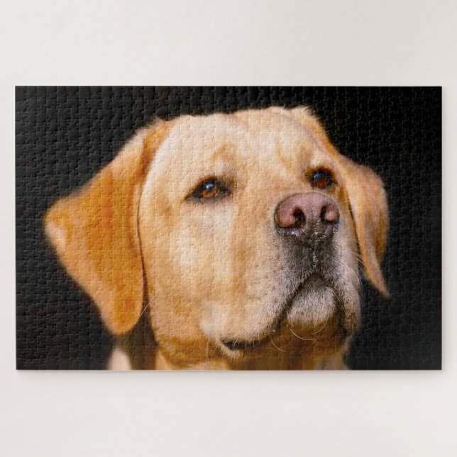 Chien du Labrador. Jigsaw Puzzle (Horizontal)