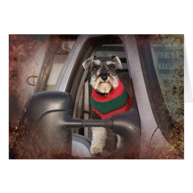 Chien du ranch (Devant horizontal)