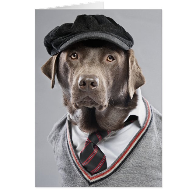 Chien en pull et casquette (Devant)