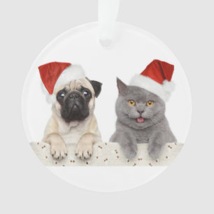Chien et chat dans le casquette rouge de Noël