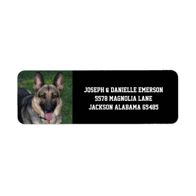 Chien Étiquette de adresse berger allemand (Devant)