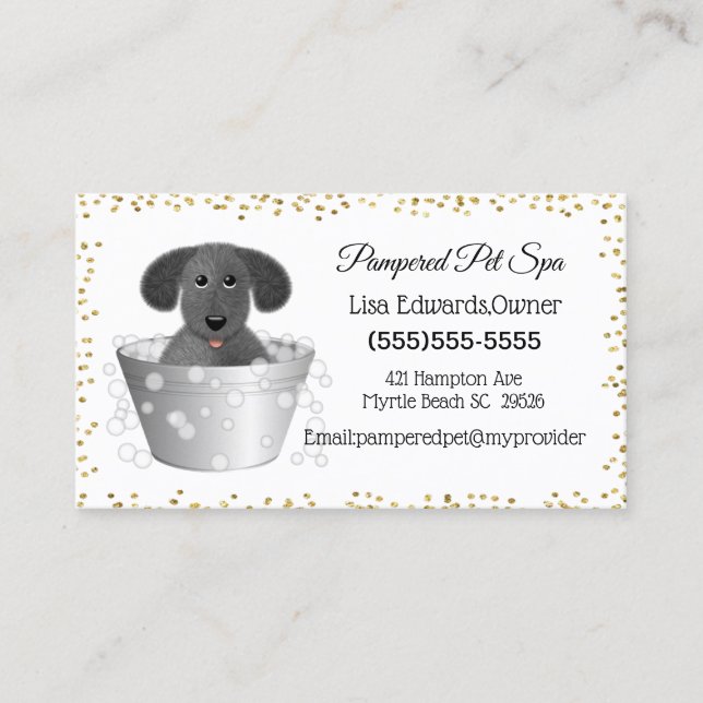 Chien Grooming Chien Spa Carte de rendez-vous (Devant)