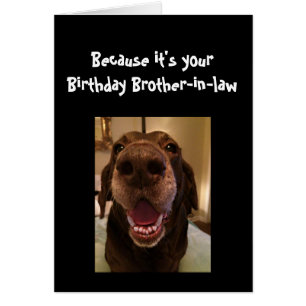 Chien gros nez drôle anniversaireFrère en beaux-pa