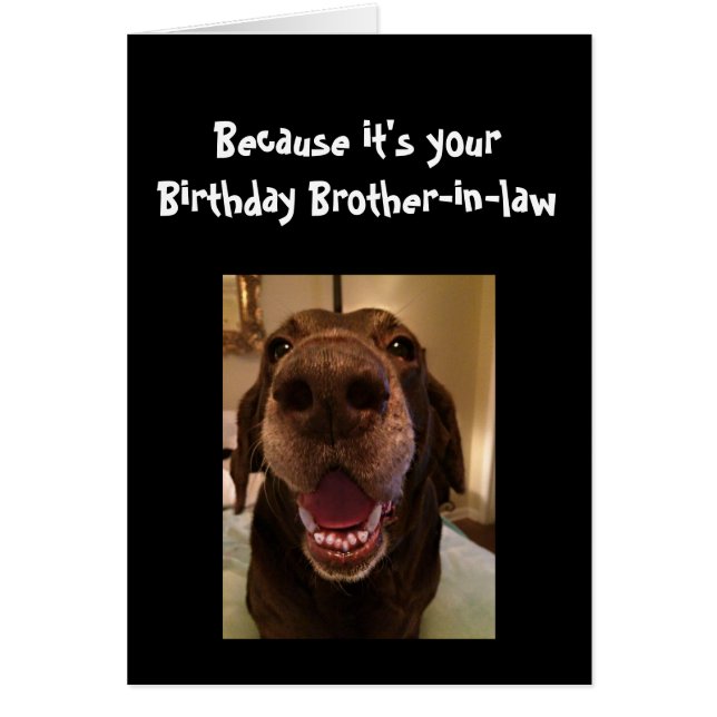 Chien gros nez drôle anniversaireFrère en beaux-pa (Devant)