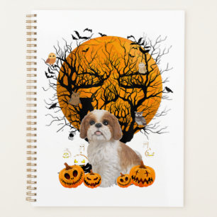 Chien Halloween