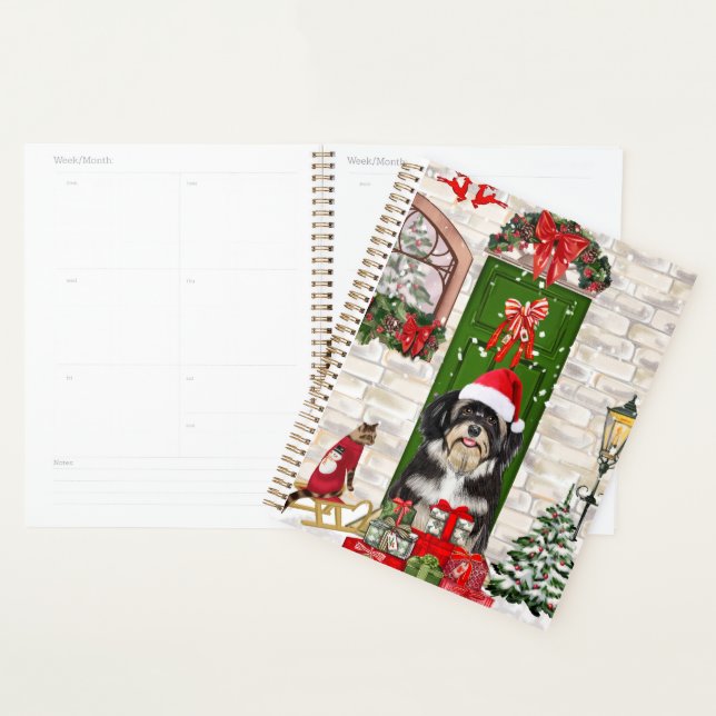 Chien Havanais Noël   (Devant avec enveloppe)