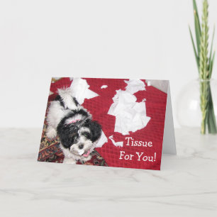 Chien Havanais - Obtenez Bonne Carte - Tissu Pour