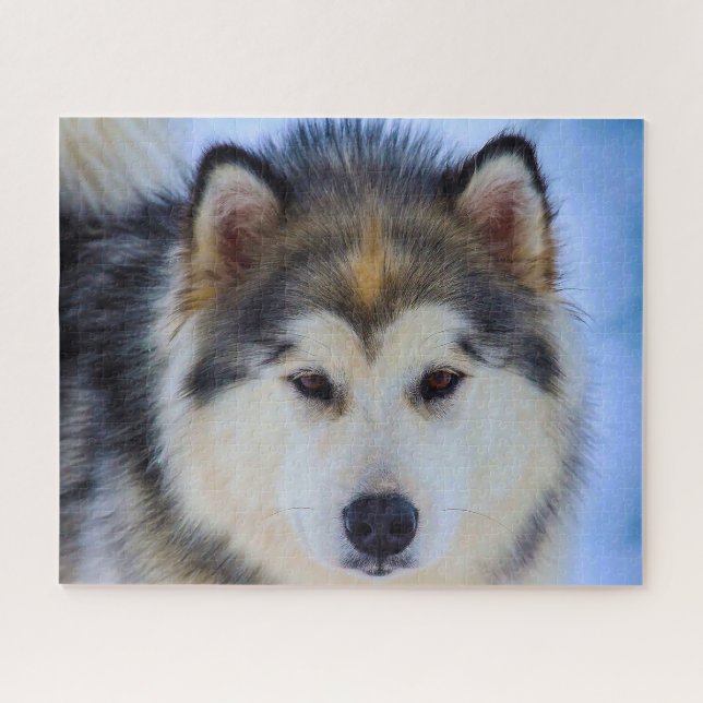 Chien Husky d'Alaska. Puzzle (Horizontal)