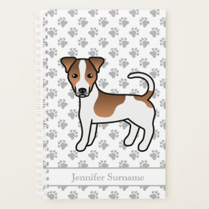 Chien Jack Russell Terrier à poil lisse marron & n