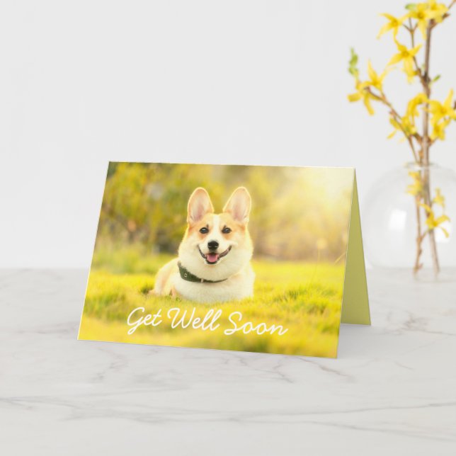 Chien jaune et encouragement obtenir bonne carte (Fleur jaune)
