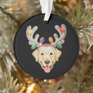 Chien Labrador Renne Andouillers Lumières de Noël