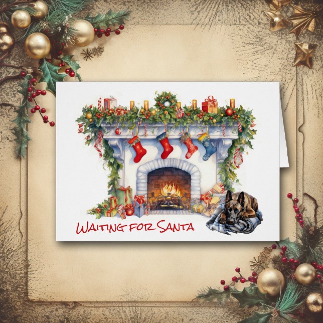 Chien Malinois belge en attente de Père Noël (Créateur téléchargé)