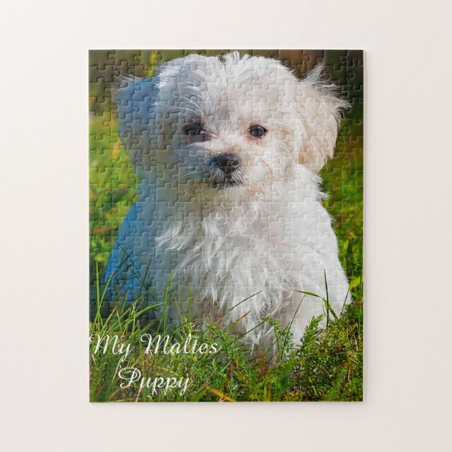 Chien Maltais Se Reproduisent. Jigsaw Puzzle (Vertical)