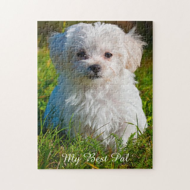 Chien Maltais Se Reproduisent. Jigsaw Puzzle (Vertical)