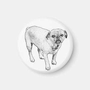 Chien manga aimant propage des bonnes vibrations p
