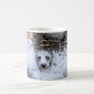 Chien masculin de Lurcher de la tasse | de
