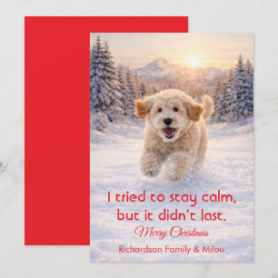 Chien mignon avec citation drôle de Noël   Carte d