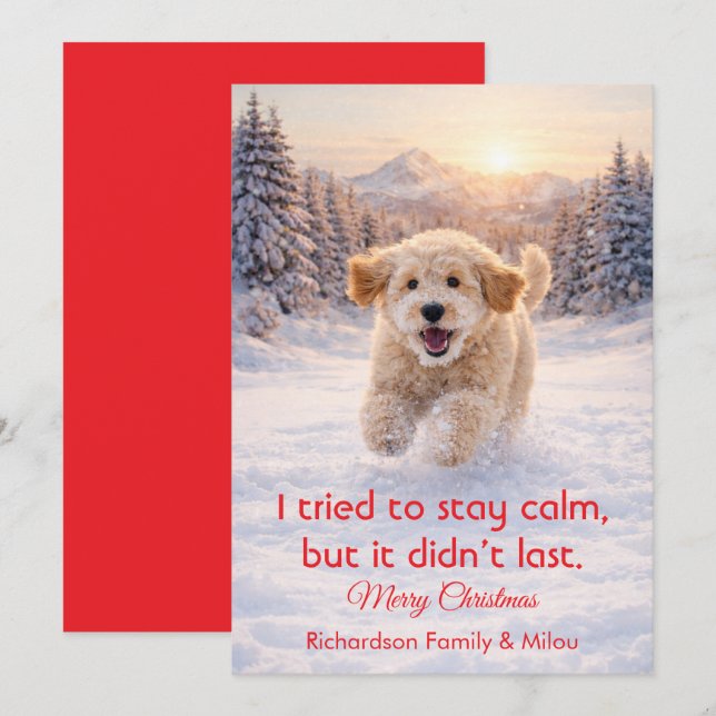 Chien mignon avec citation drôle de Noël | Carte d (Devant / Derrière)