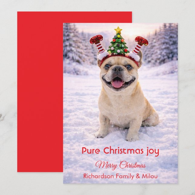 Chien mignon avec citation tendre de Noël  Carte d (Devant / Derrière)