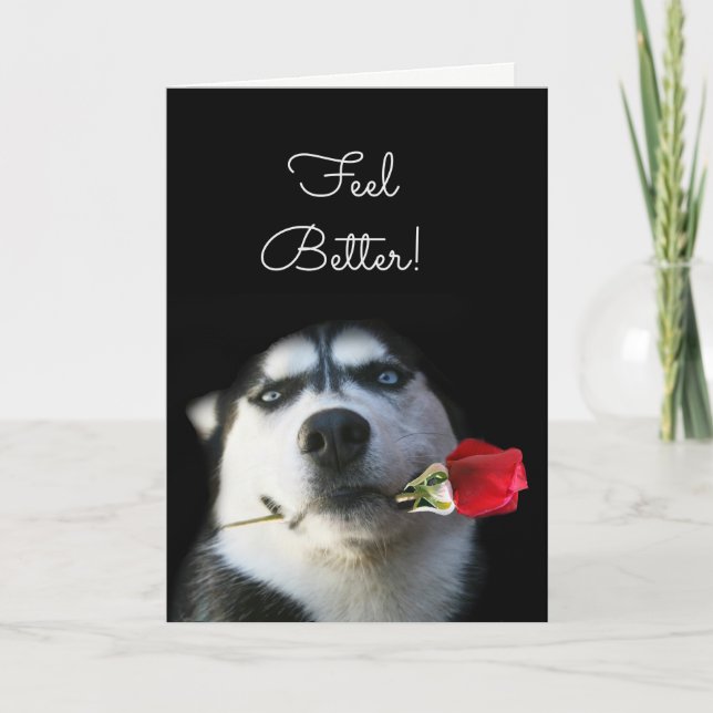Chien mignon et Fleur Sentez mieux obtenir carte (Devant)