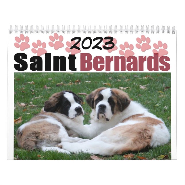 Chien mignon race Saint Bernard Chiot Calendrier (Protection)