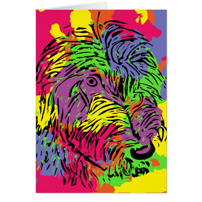 Chien multicolore (Devant)
