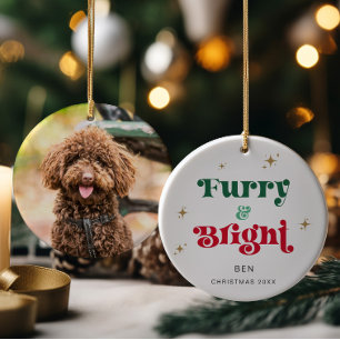 Chien Noël Ornement Photo Animal de compagnie Furr