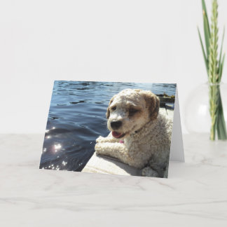 Chien par une carte de voeux de lac