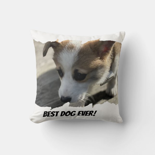 Chien Photo Animal Coussin (Recto)