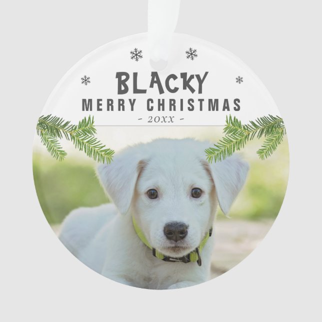 Chien Photo Pine Branche Snowflakes Joyeux Noël (devant)