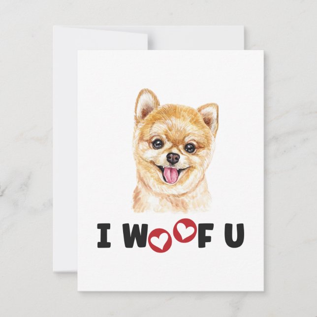 Chien Poméranien Pom Je Vous Malheur (Devant)