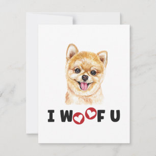 Chien Poméranien Pom Je Vous Malheur