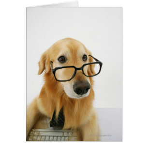 Chien portant cravate et lunettes assis sur la cha