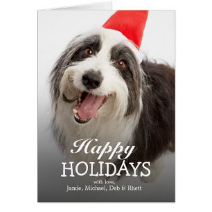 Chien portant un chapeau de Père Noël