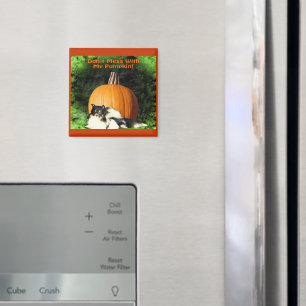 Chien protégeant le grand aimant Citrouille