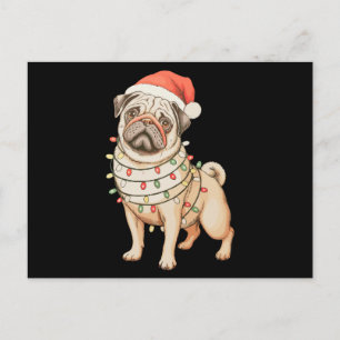 Chien Pug Noël Chapeau Santa Noël Lumières Vacance